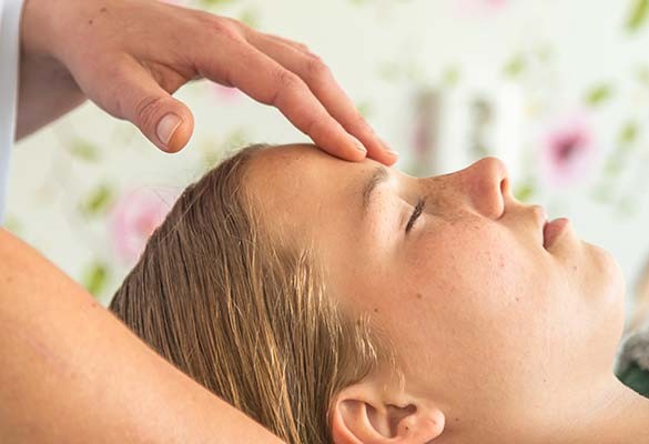 Access Bars Class Friesland